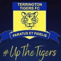 Terrington Tigers Youth F.C.